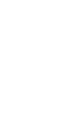 Triangle grid of a human head